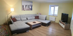 Apartment Lipno Šumava pro 8 hostů Lipno Nad Vltavou